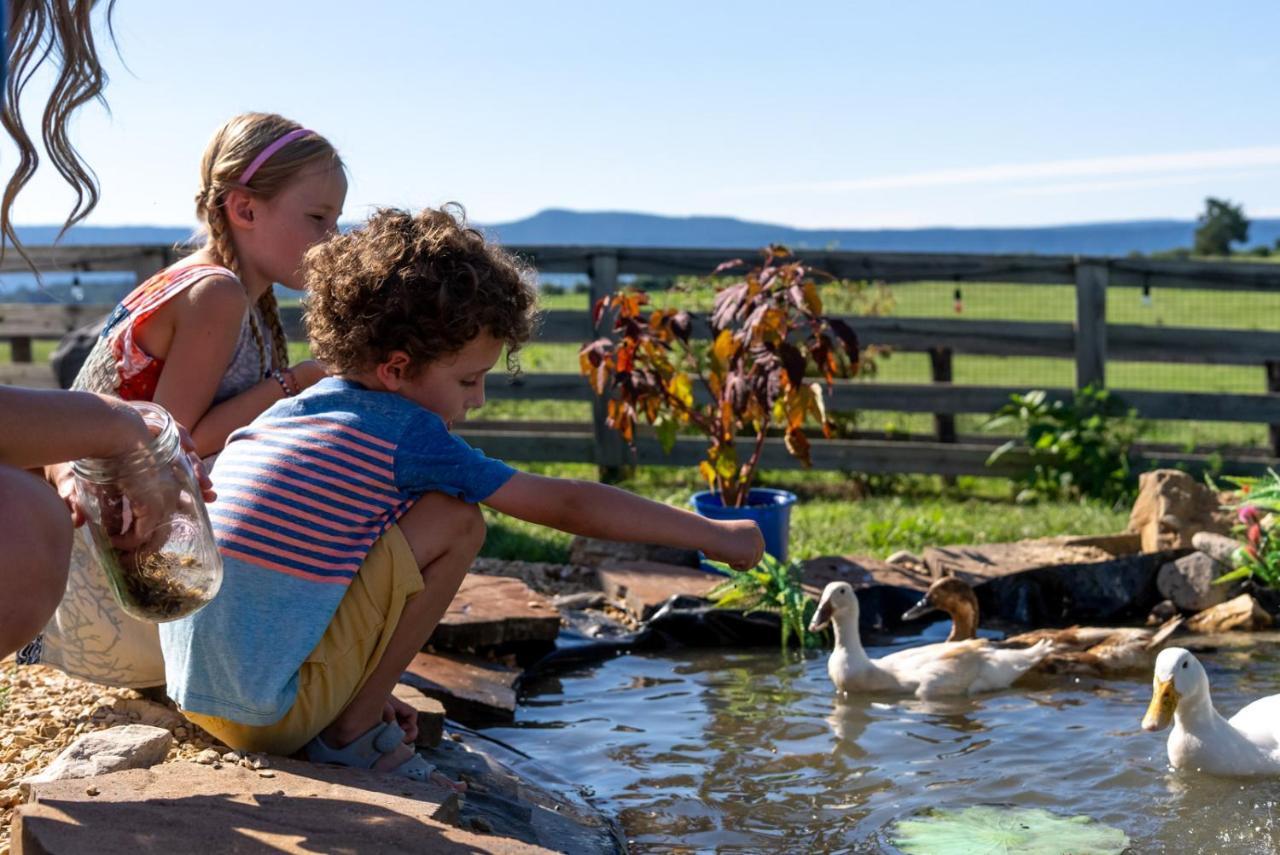 Вилла Madeline Farms Лурей Экстерьер фото