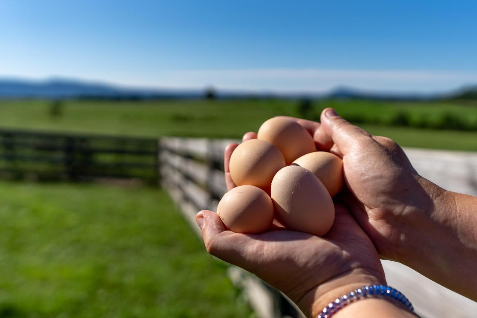 Вилла Madeline Farms Лурей Экстерьер фото